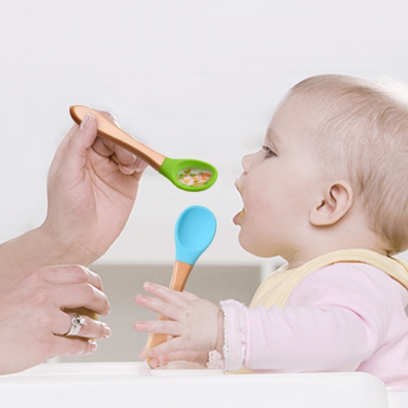 2Pcs/Set Baby Silicone Spoon F - Baby Food Utensils ulasan dan harga