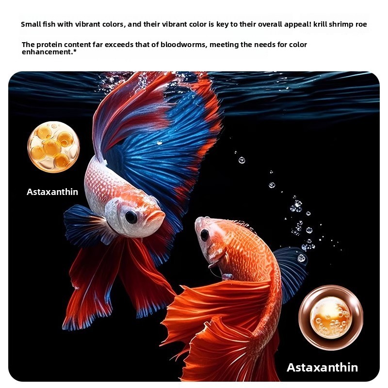 Yee Krill & Baby Shrimp Dry Fo - Dry Food Baby ulasan dan harga